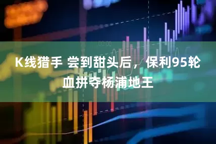 K线猎手 尝到甜头后，保利95轮血拼夺杨浦地王