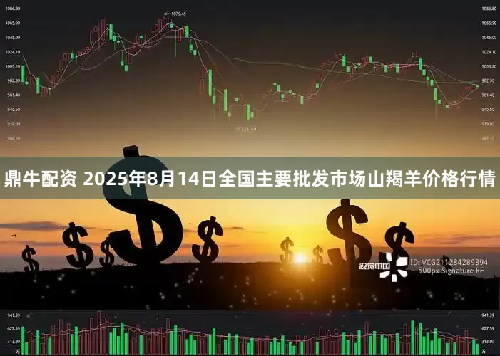 鼎牛配资 2025年8月14日全国主要批发市场山羯羊价格行情
