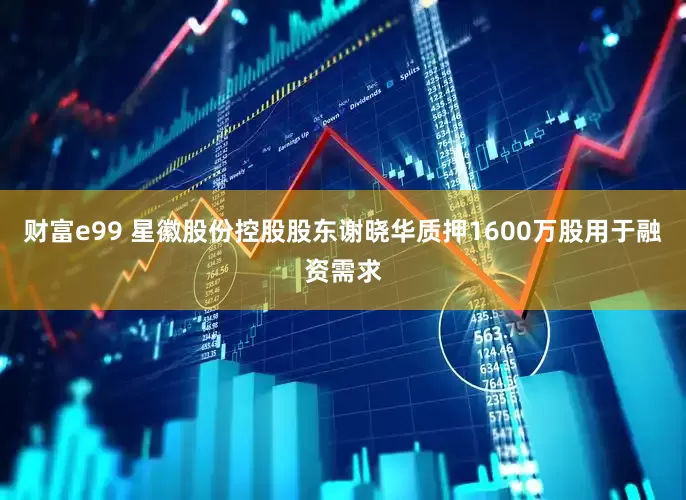 财富e99 星徽股份控股股东谢晓华质押1600万股用于融资需求