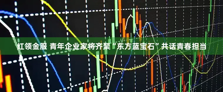 红领金服 青年企业家将齐聚“东方蓝宝石”共话青春担当