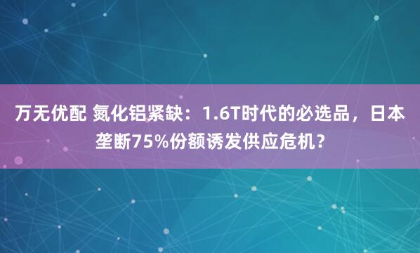 万无优配 氮化铝紧缺：1.6T时代的必选品，日本垄断75%份额诱发供应危机？